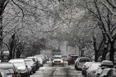 Vùng Đông Bắc Mỹ tiếp tục hứng đợt bão tuyết mới