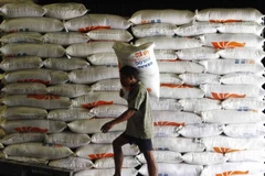 Indonesia sản xuất gạo đạt thặng dư kỷ lục năm 2013