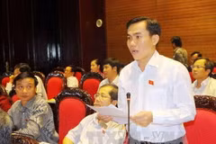 Ông Lê Công Đỉnh, đại biểu Quốc hội tỉnh Long An phát biểu. (Ảnh: Trọng Đức/TTXVN)
