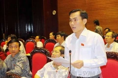 Ông Lê Công Đỉnh, đại biểu Quốc hội tỉnh Long An phát biểu. (Ảnh: Trọng Đức/TTXVN)