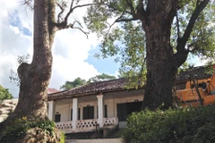 Dinh thự cổ dòng họ Nông ở Bảo Lạc. (Nguồn: baotintuc.vn)