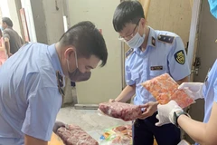 (Ảnh minh họa: TTXVN phát)