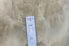 Ảnh minh họa. (Nguồn: Vietnam+)