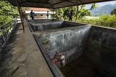 Các hạng mục của công trình nước sạch này như bể chứa, bể lắng, bể lọc nước và nhà điều hành vẫn còn nguyên vẹn. (Ảnh: Trọng Đạt/TTXVN)