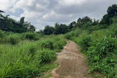 Ảnh minh họa. (Ảnh: Hồng Điệp/TTXVN)