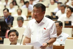 Đại biểu Quốc hội tỉnh Lâm Đồng Nguyễn Tạo phát biểu. (Ảnh: An Đăng/TTXVN)