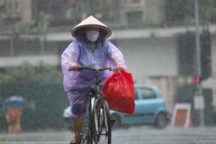 Vùng núi Bắc Bộ, Tây Nguyên và Nam Bộ có mưa to đến rất to. (Ảnh: Thanh Tùng/TTXVN)