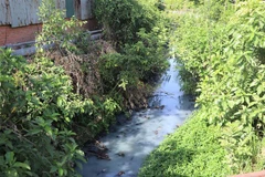 Đoạn kênh dẫn nước thải từ hồ điều hòa Bàu Cả (phường Lê Hồng Phong) ra sông Trà Khúc. (Ảnh: Đinh Hương/TTXVN)