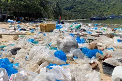 Khu vực bãi Chính của vịnh Vũng Rô thuộc xã Hòa Xuân Nam, thị xã Đông Hòa (Phú Yên) ngập tràn rác thải nhựa. (Ảnh: Tường Quân/TTXVN)