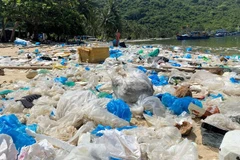 Khu vực bãi Chính của vịnh Vũng Rô thuộc xã Hòa Xuân Nam, thị xã Đông Hòa (Phú Yên) ngập tràn rác thải nhựa. (Ảnh: Tường Quân/TTXVN)