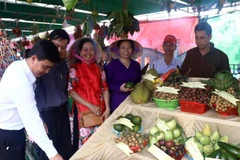 Lãnh đạo Ủy ban Nhân dân tỉnh Sóc Trăng cùng các sở, ban, ngành tham quan gian hàng trưng bày cây ăn trái tại Lễ hội sông nước miệt vườn ở Cồn Mỹ Phước, huyện Kế Sách. (Ảnh Tuấn Phi/TTXVN)