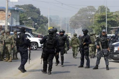 Cảnh sát và binh sỹ Mexico tại hiện trường vụ đấu súng với một băng đảng tội phạm ở Guerrero. (Ảnh: AFP/TTXVN)