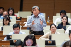 Đại biểu Quốc hội Trương Trọng Nghĩa phát biểu. (Ảnh: CTV/Vietnam+)