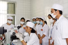 (Ảnh minh họa: TTXVN)