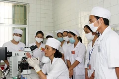 (Ảnh minh họa: TTXVN)