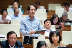 Đại biểu Bùi Sỹ Hoàn phát biểu ý kiến. (Ảnh: CTV/Vietnam+)