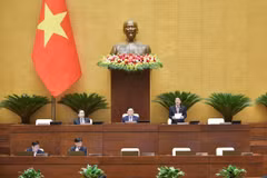 Quốc hội làm việc sáng nay, 28/11. (Ảnh: CTV/Vietnam+)
