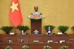 Quốc hội làm việc sáng nay, 28/11. (Ảnh: CTV/Vietnam+)