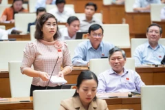 Đại biểu Quốc hội chất vấn ngày 7/11. (Ảnh: CTV/Vietnam+)