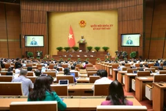 Các đại biểu Quốc hội thảo luận tại hội trường. (Ảnh: CTV/Vietnam+)