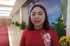 Đại biểu Quốc hội Đặng Bích Ngọc chia sẻ với báo chí. (Ảnh: Phạm Mai/Vietnam+)