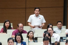 Đại biểu Bế Minh Đức phát biểu. (Ảnh: PV/Vietnam+)