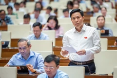 Đại biểu Lại Văn Hoàn đề nghị tăng tỷ lệ vốn Nhà nước lên 80%. (Ảnh: CTV/Vietnam+)