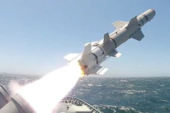 Ảnh minh họa. (Nguồn: WordPress)