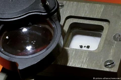 (Nguồn: dw.com)
