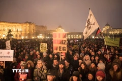 Người dân biểu tình phản đối đảng cánh hữu tại Vienna, Áo ngày 13/1. (Nguồn: AFP/TTXVN)