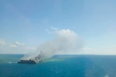 Ảnh minh họa. (Nguồn: EPA/TTXVN)