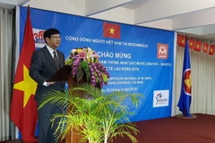 (Ảnh: Phi Hùng/TTXVN)