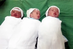 Ba trẻ sinh ba bằng phương pháp tự nhiên khỏe mạnh sau khi sinh. (Ảnh: Tá Chuyên/TTXVN)