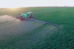 Ảnh minh họa. (Nguồn: usbeketrica.com)