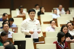 Ảnh minh họa. (Nguồn: Dương Giang/TTXVN)