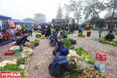 Phiên chợ trong sương độc đáo của người dân tộc ở Ý Tý