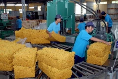 Sơ chế mủ cao su tại Công ty Trách nhiệm hữu hạn một thành viên Cao su Dầu Tiếng (Bình Dương) thuộc Tập đoàn Công nghiệp Cao su Việt Nam. (Ảnh: Đình Huệ/TTXVN)