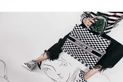 Dior Book Tote - Chiếc túi xách mang theo được cả thế giới