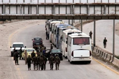 Đoàn xe sơ tán lực lượng nổi dậy và gia đình tại Đông Ghouta ngày 23/3. (Nguồn: THX/TTXVN)