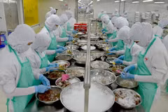 Chế biến thủy sản xuất khẩu tại Công ty thủy sản Trung Sơn. (Ảnh: Bùi Như Trường Giang/TTXVN)