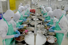 Chế biến thủy sản xuất khẩu tại Công ty thủy sản Trung Sơn. (Ảnh: Bùi Như Trường Giang/TTXVN)
