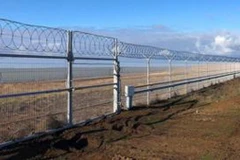 (Nguồn: Getty images)