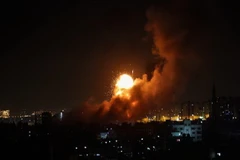 (Ảnh minh họa. THX/TTXVN)