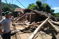 (Ảnh minh họa. Nguyễn Nam/TTXVN)