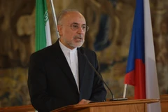 Ông Ali Akbar Salehi. (Nguồn: AFP/TTXVN)