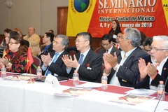 Đoàn Việt Nam tham dự hội thảo. (Ảnh: Việt Hùng/Vietnam+)