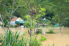 Nhiều bản làng ở huyện Con Cuông, tỉnh Nghệ An bị ngập trong nước do ảnh hưởng của bão số 4. (Ảnh: Bá Hậu/TTXVN)