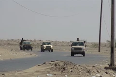 Các lực lượng ủng hộ Chính phủ Yemen làm nhiệm vụ tại khu vực Hodeidah ngày 13/11/2018. (Ảnh: THX/TTXVN)