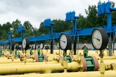 Ảnh minh họa. (Nguồn: Getty)