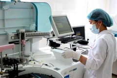 Ảnh minh họa. (Nguồn: TTXVN)